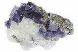 Cubic Purple-Blue Fluorite with Pyrite - Yaogangxian Mine #161557-1